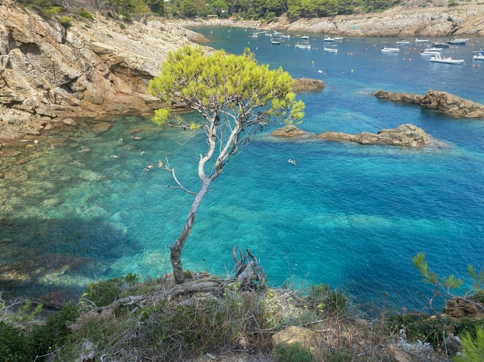 01/09/24 Costa Brava - Bonaigua - Trial